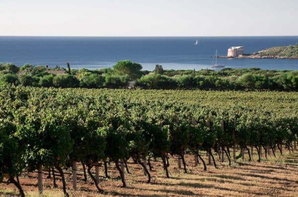 Cantina Santa Maria La Palma