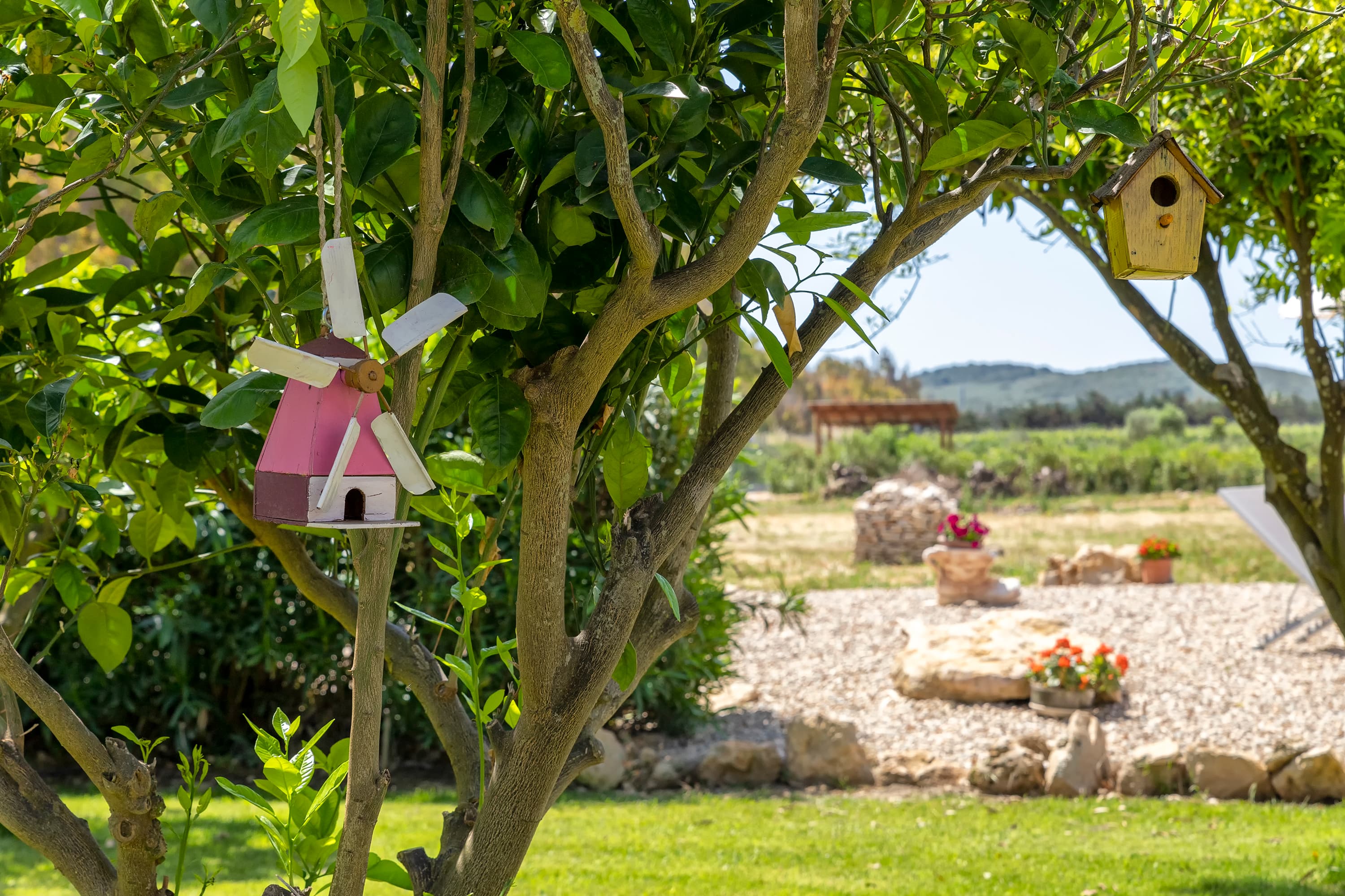 Villa Antonio — foto 44